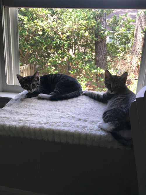 Winston & Lucy