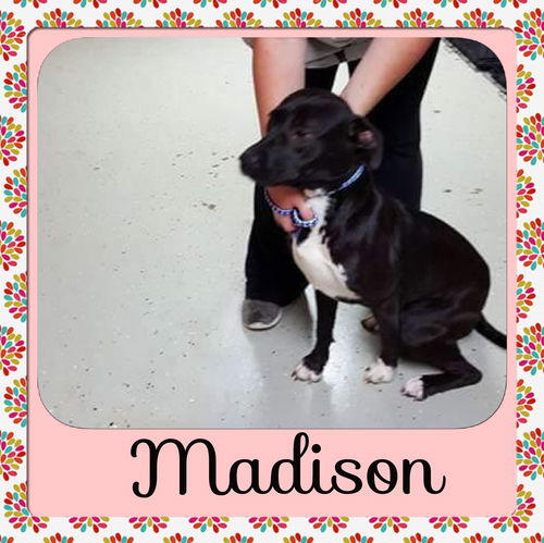 Madison