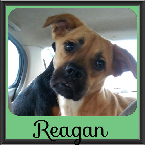 Reagan