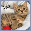 Jax
