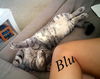 Blu