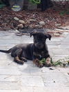 Abby