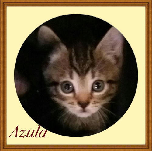 Azula