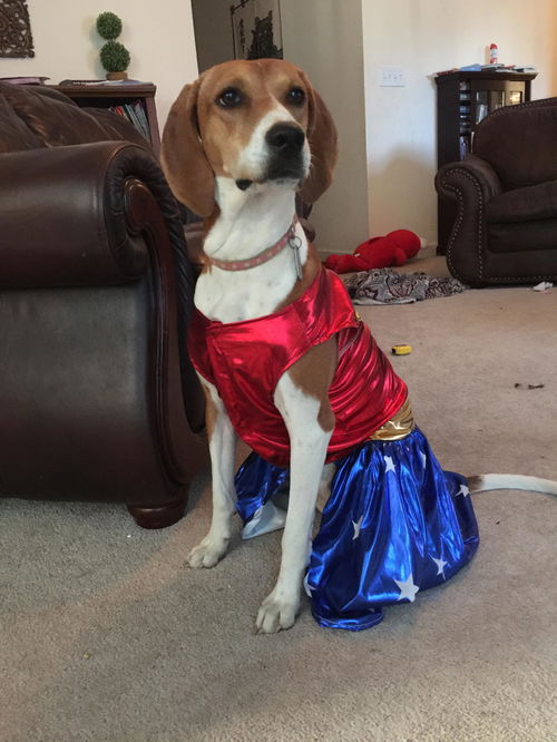 Audrey