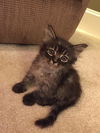 Nori
