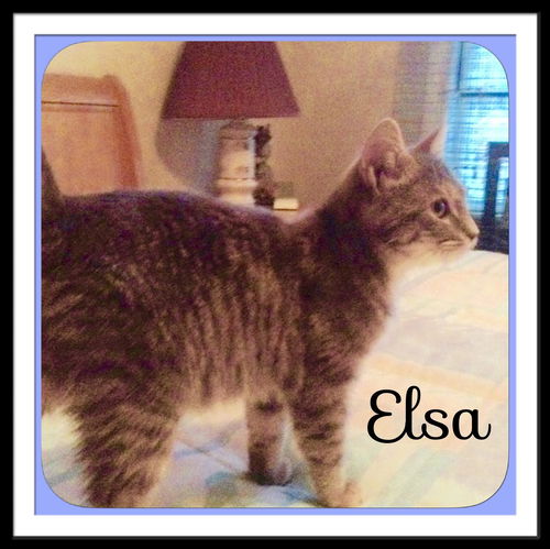 Elsa