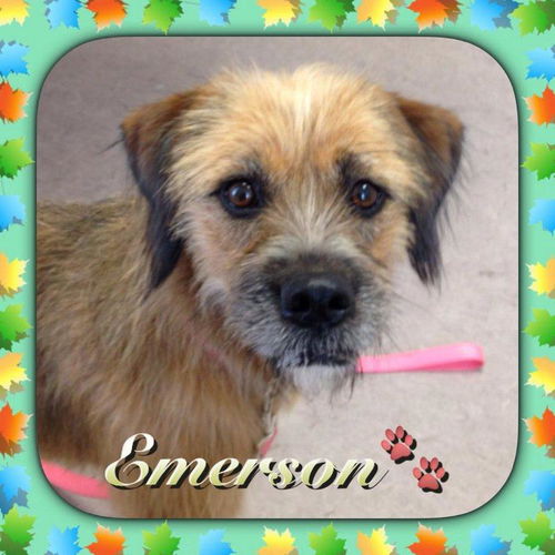 Emmerson
