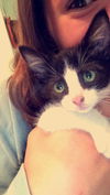 oliver