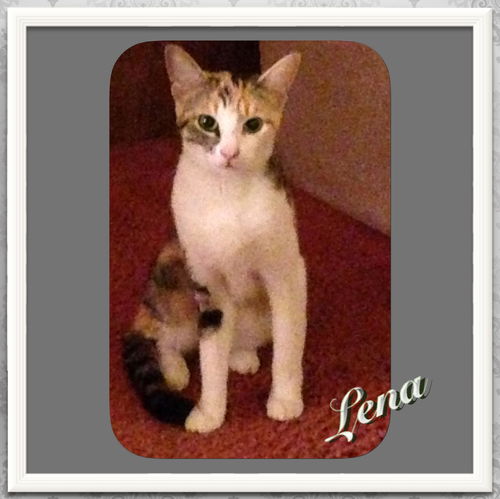 Lena