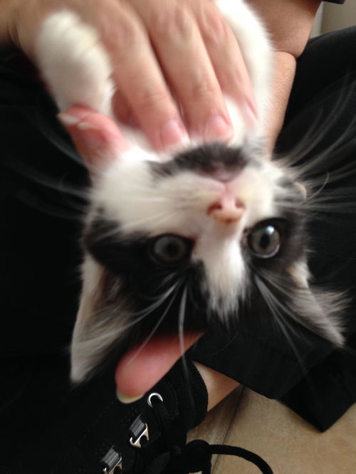 Maggie