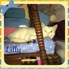 Lilly