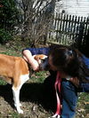 Daisy