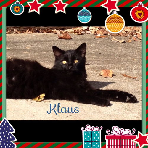 Klaus