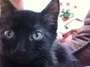 Abby