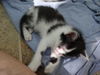 Lilly