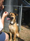 Sawyer