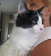 Ozzie