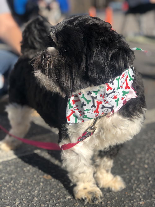 Bella