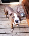 Axel