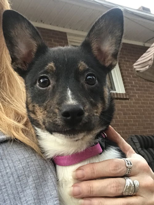 Tilly