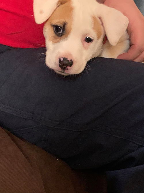 Sadie