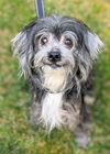 Greta Sue (SENIOR ALERT)