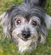 Greta Sue (SENIOR ALERT)