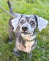 Greta Sue (SENIOR ALERT)