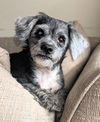Greta Sue (SENIOR ALERT)