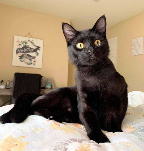 Salem
