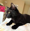 Salem