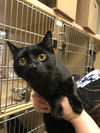 Salem