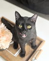 Salem