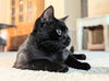Salem