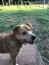 Jack