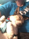 Buster