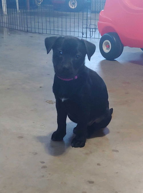 Ellie