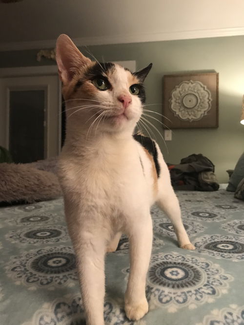 Sally