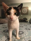 Sally