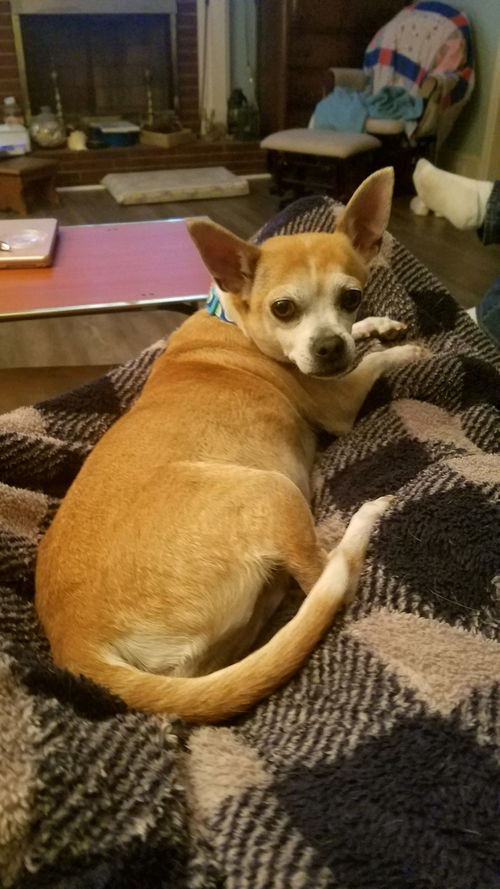 Zoe