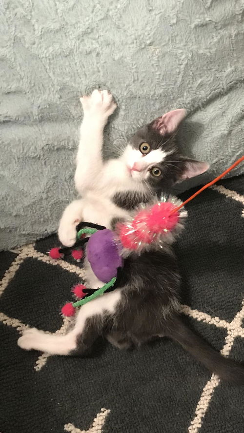 Astro