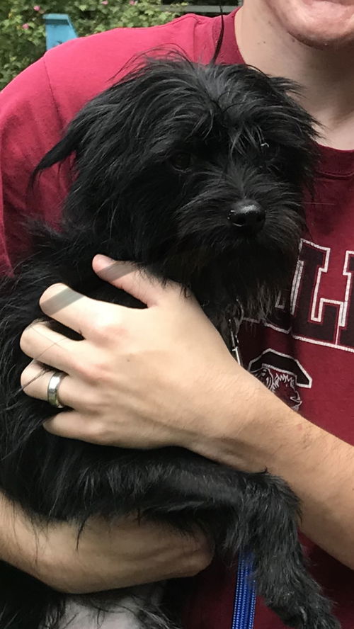 Marco