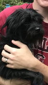Marco