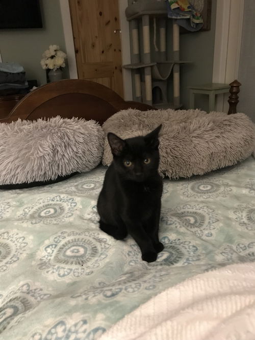 Binx