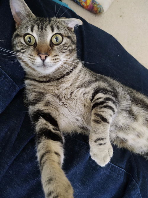 Gabby