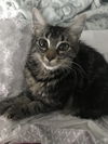 Princess Freya