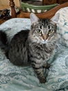 Princess Freya