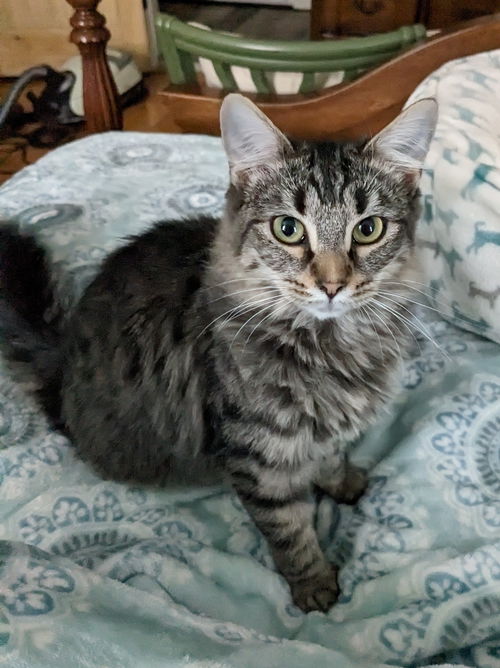 Princess Freya