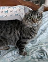 Princess Freya