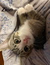 Zion